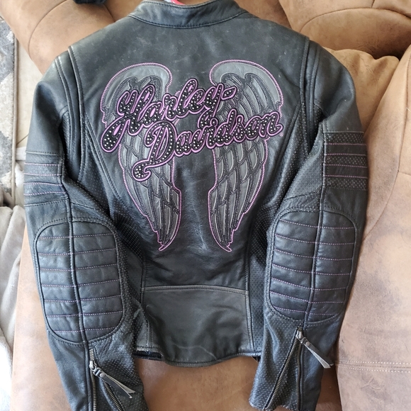 Harley davidson leather jacket and chaps all brand - Picture 2 of 8